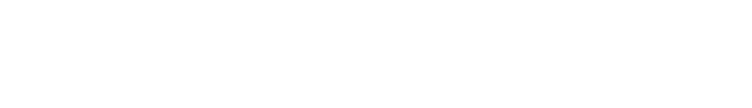 Teleport Next Day logo